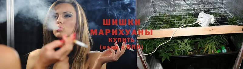 Шишки марихуана Ganja  наркота  Кондопога 